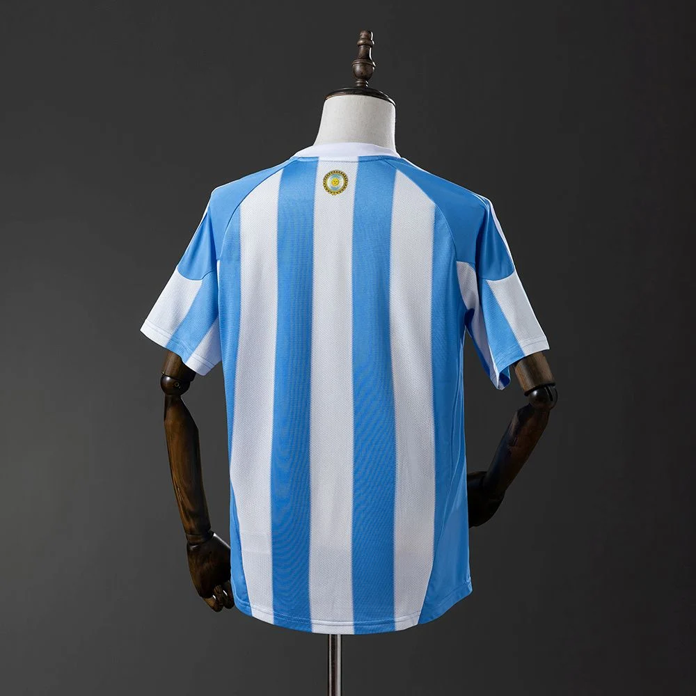 Maillot Argentine Domicile 2010 (2)