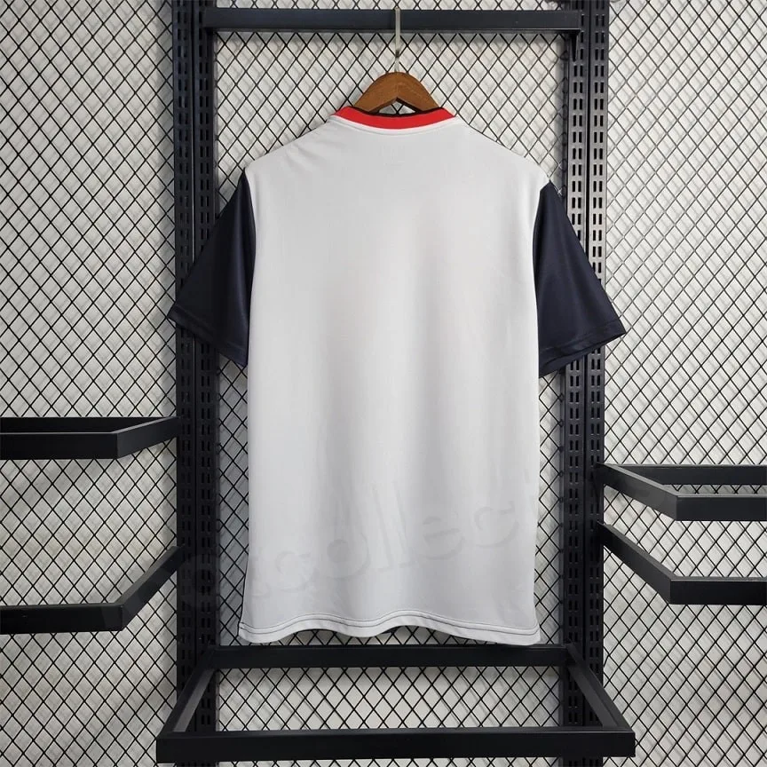 CAMISETA JAPONESA EDICIÓN ESPECIAL SAMURAI (3)