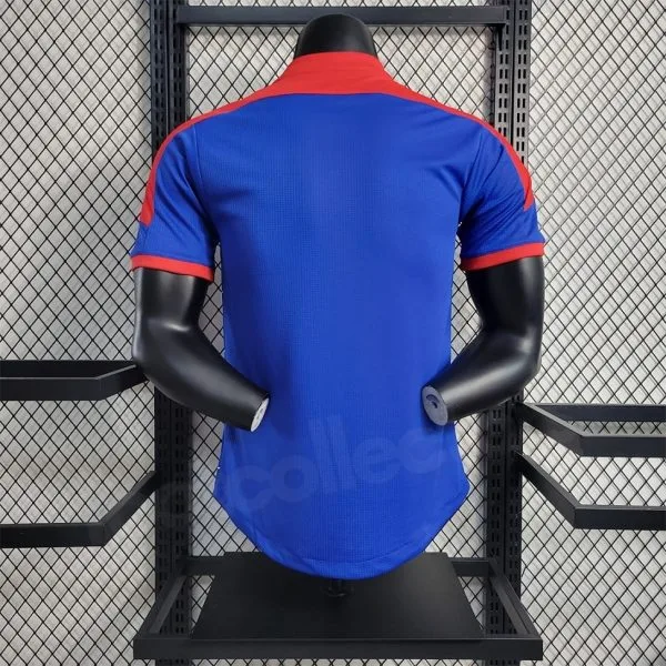 Maillot Japon Saint Seiya Version Joueur 2023-2024