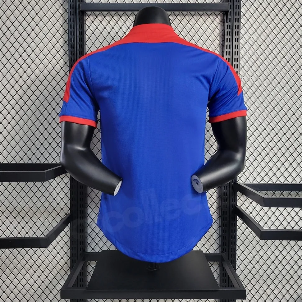 MAILLOT JAPON SAINT SEIYA VERSION JOUEUR 2023-24 (2)