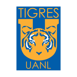 maillots tigres retro vintage