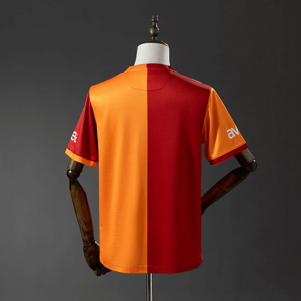 Maillot Galatasaray Domicile 2013-2014 (2)