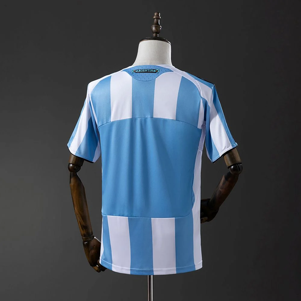 Maillot Argentine Domicile 2008 -2010 (2)