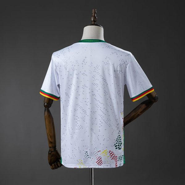 Maillot Cameroun Exterieur 2026 2027
