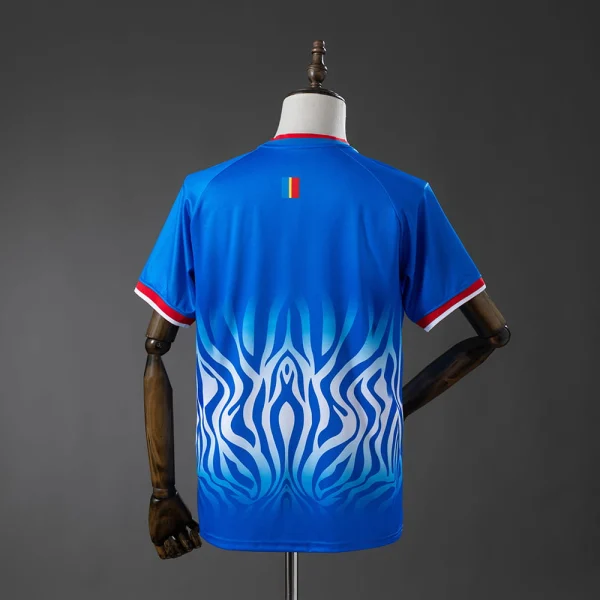 Maillot Congo RDC Domicile 2026 2027
