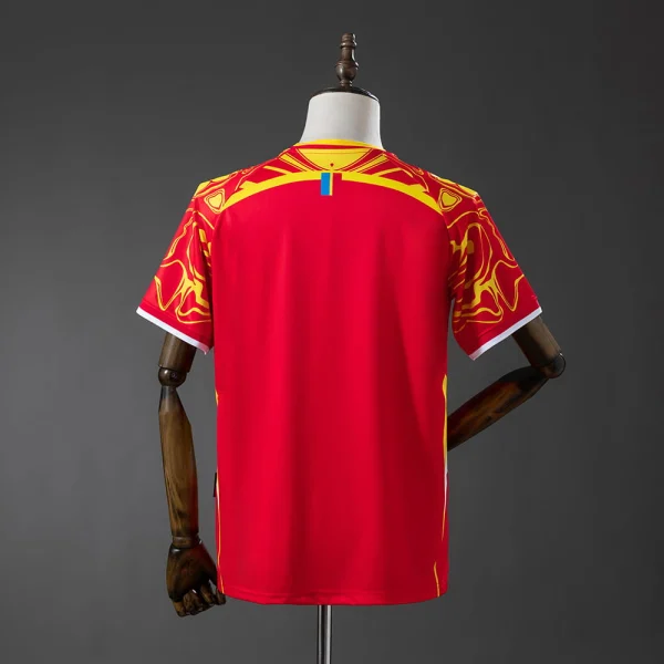 Maillot Congo RDC Third 2026 2027