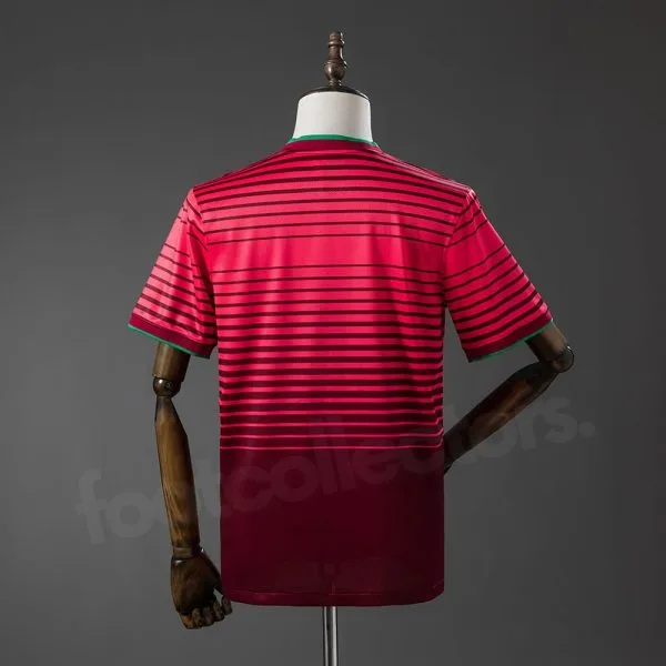 Maillot Portugal Domicile 2014-2015