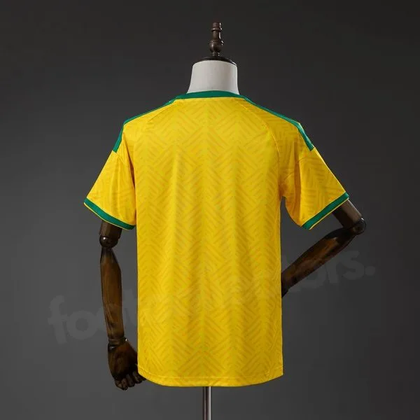 Maillot Afrique du Sud Domicile 2026 2027